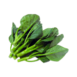 Chinese Broccoli