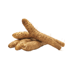Chinese Yam