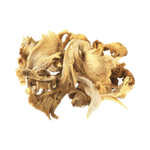 Dried Oyster Mushrooms