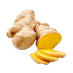 Ginger