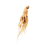 Ginseng