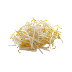 Mung Bean Sprouts