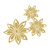 Star Anise