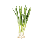 Scallions