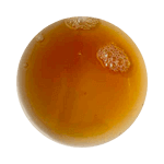 Shaoxing Wine