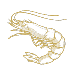 Shellfish
