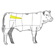 TenderloinCut