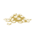 Glutinous Rice